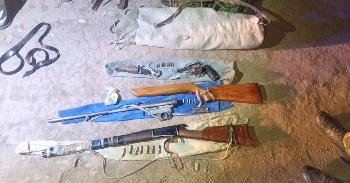 tenencia ilegal de armas