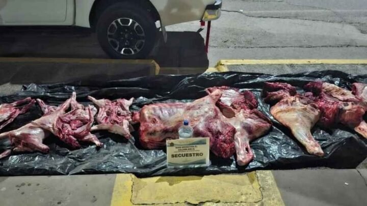transporte de carne