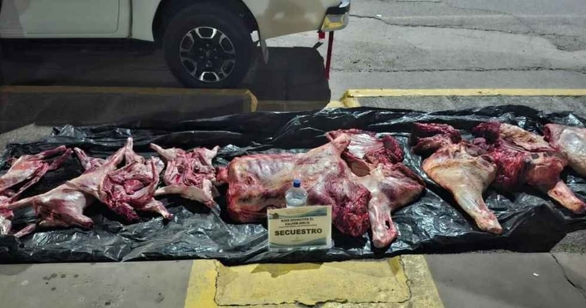 transporte de carne