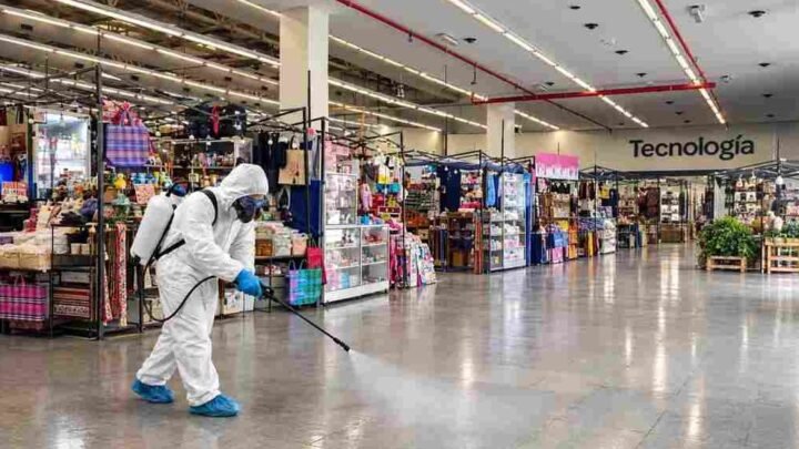 fumigación mercados municipales