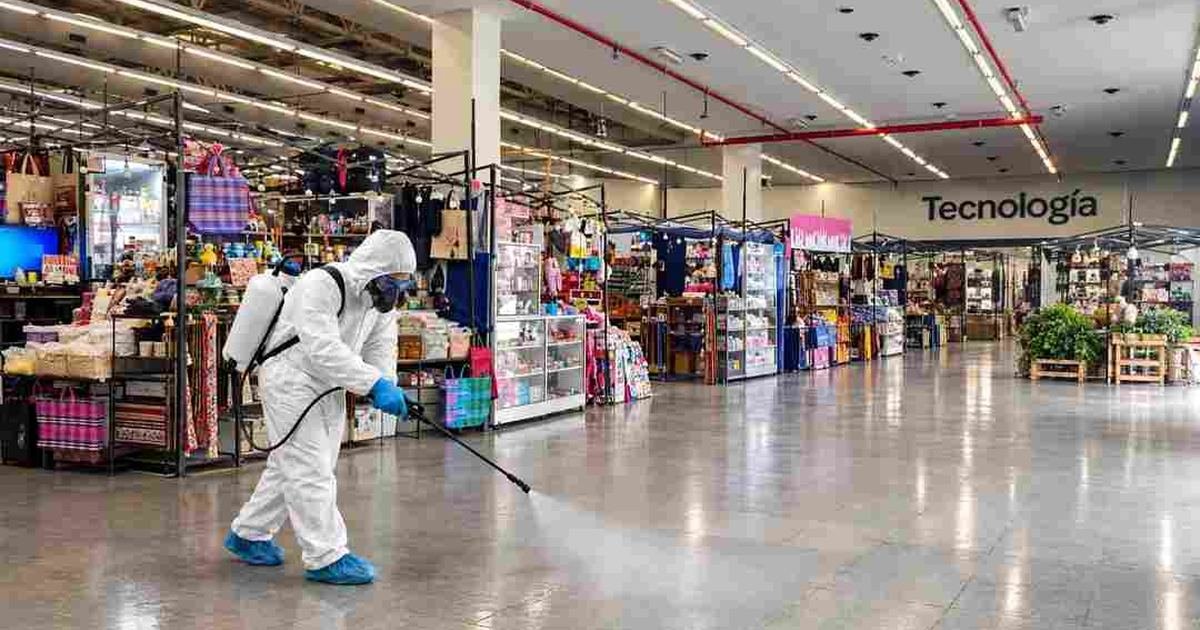 fumigación mercados municipales
