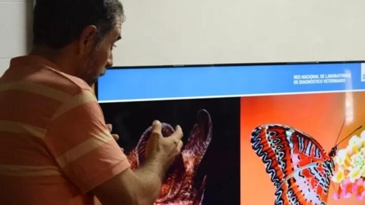 Acercando Ciencia 2026