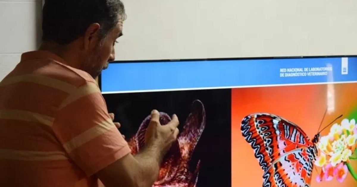 Acercando Ciencia 2026