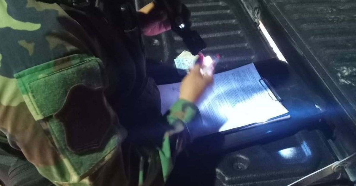 traslado de animales vacunos