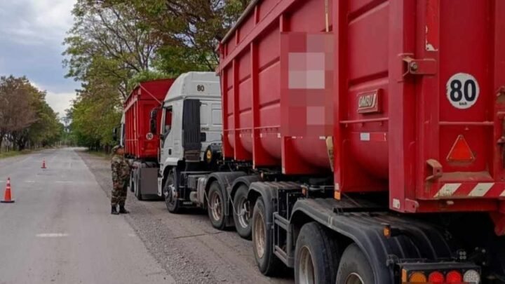 transporte irregular de maiz