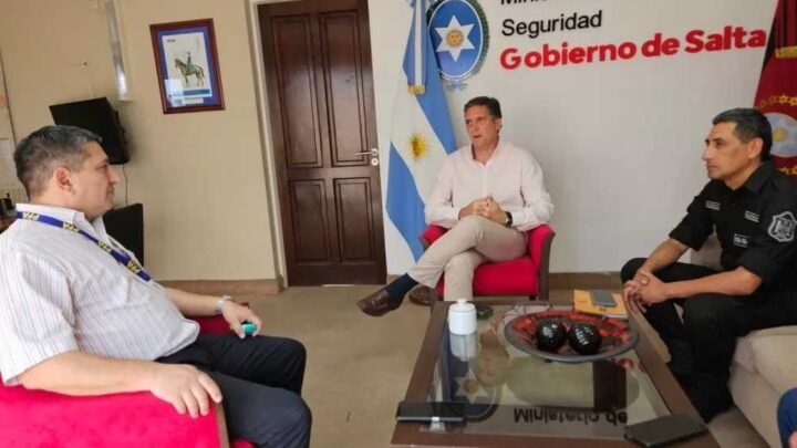 lucha contra el delito