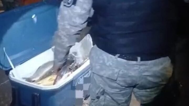 pesca ilegal en Pichanal