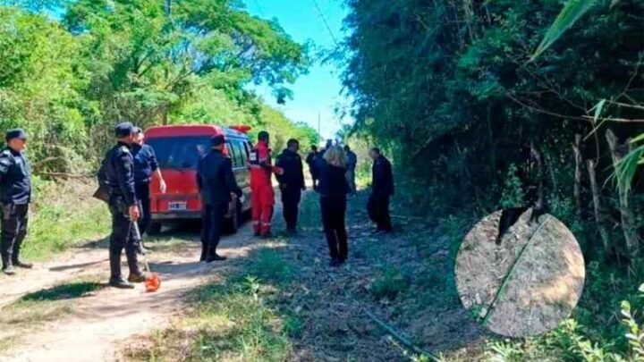 Joven murió electrocutado cuando juntaba cañas para actividad escolar de su novia