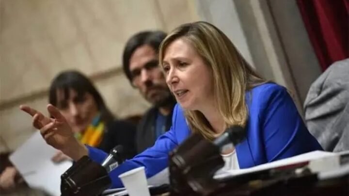 La oposición cuestionó a Milei por su mensaje sobre Malvinas