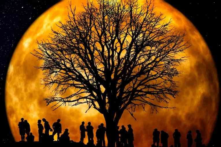 Luna de Cosecha: cuándo y cómo ver el fenómeno astronómico en Argentina