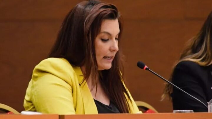 Mónica Juárez lanza una convocatoria para que jóvenes salteños se capaciten en comunicación política