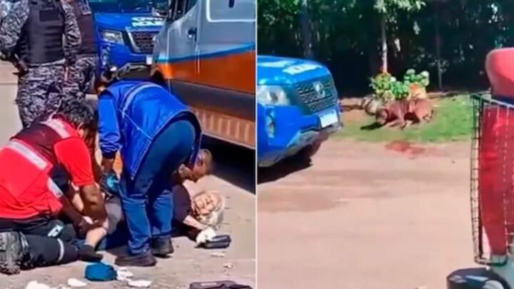 Un pitbull atacó salvajemente a una jubilada en Córdoba y los vecinos debieron sacrificarlo para salvarla