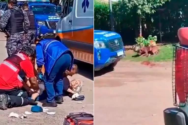 Un pitbull atacó salvajemente a una jubilada en Córdoba y los vecinos debieron sacrificarlo para salvarla