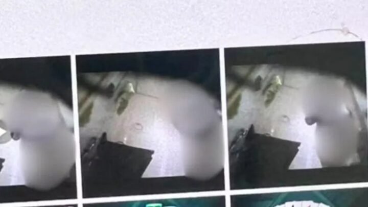 Una mujer denunció a su jefe luego de descubrir que la grababa desnuda en el baño del trabajo