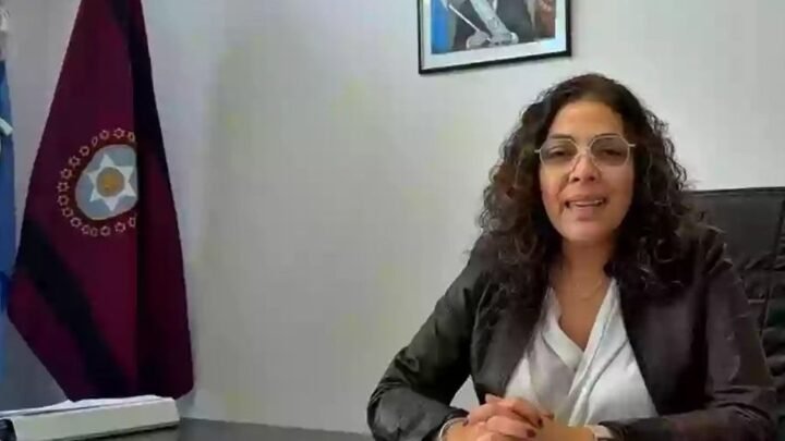 Programa Provincial VIGA
