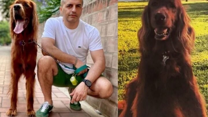 El emotivo recuerdo de Brito sobre su perro Chester y la razón por la que aún no adopta otra mascota