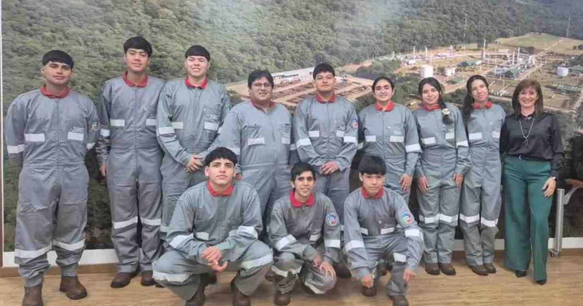 pasantías en Pan American Energy