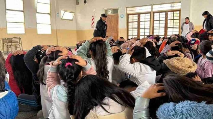 capacitación ante sismos