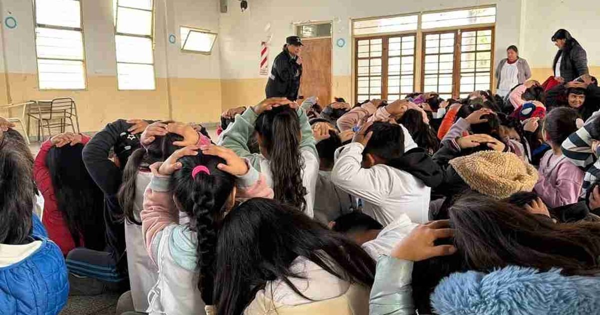 capacitación ante sismos