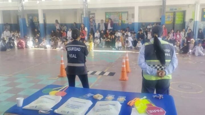 Promotores Viales