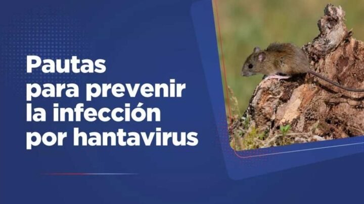 prevenir el hantavirus