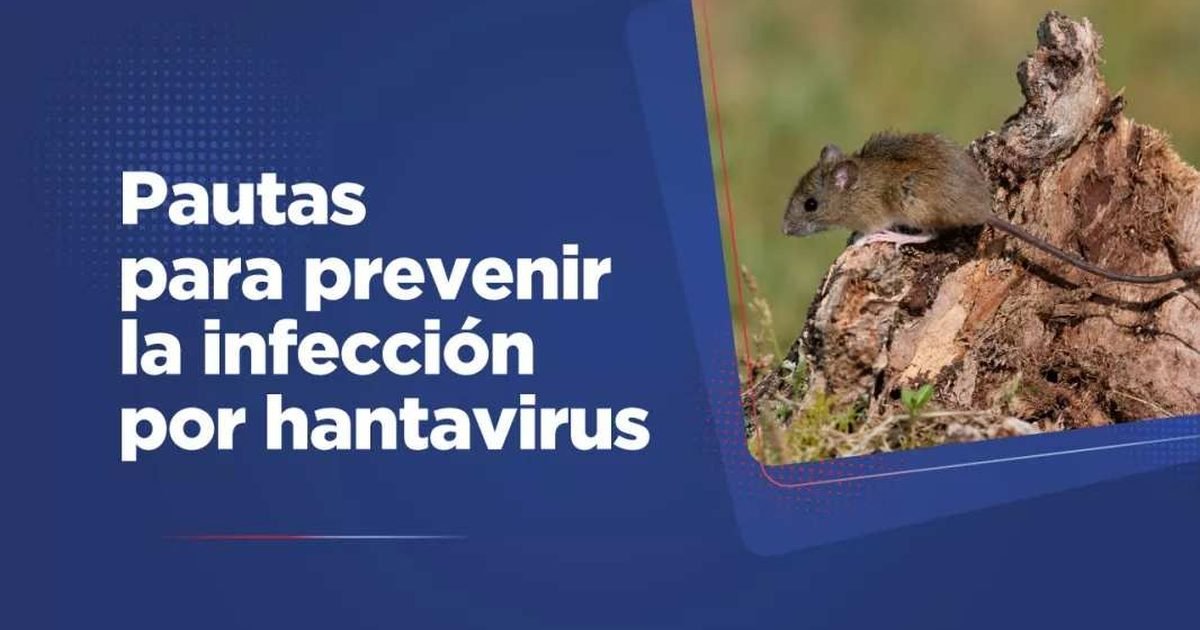 prevenir el hantavirus