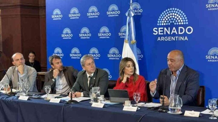 coparticipación federal