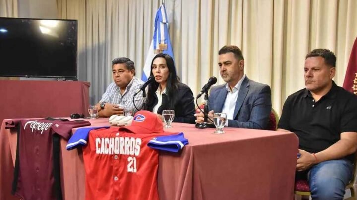 Liga Argentina de Béisbol