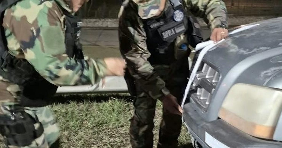 secuestraron carbon vegetal