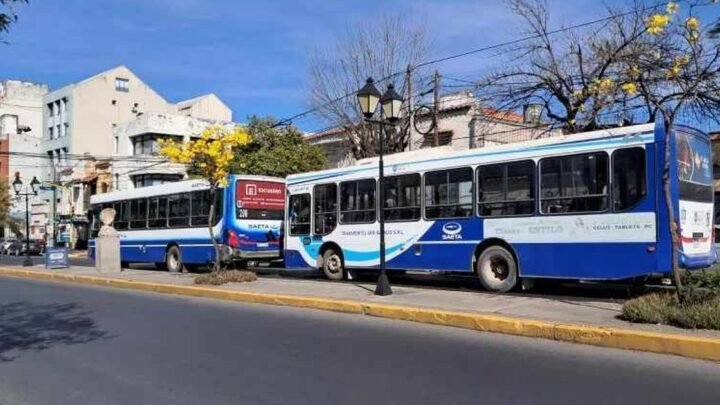 servicio de colectivos