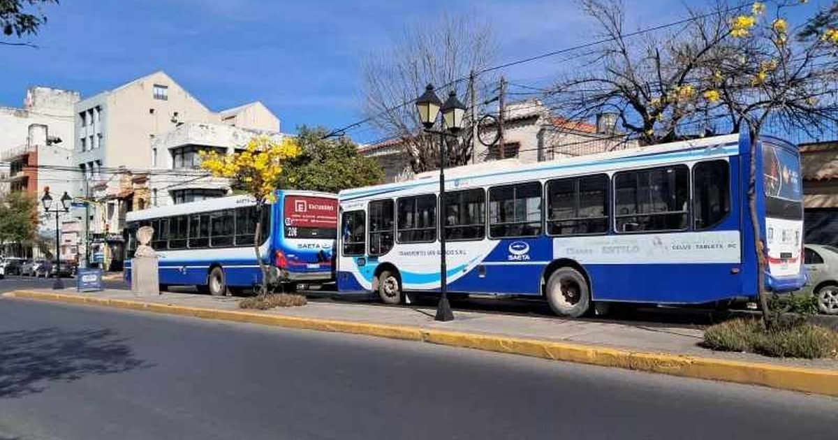 servicio de colectivos