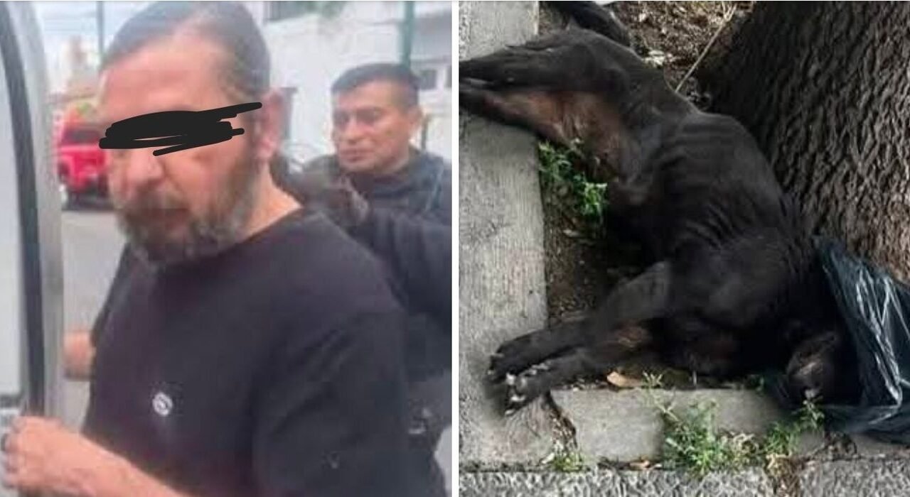 maltrato animal Brutal ataque Villa Chartas destrozó mazazos