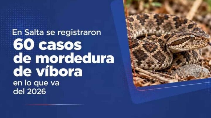 mordedura de víbora
