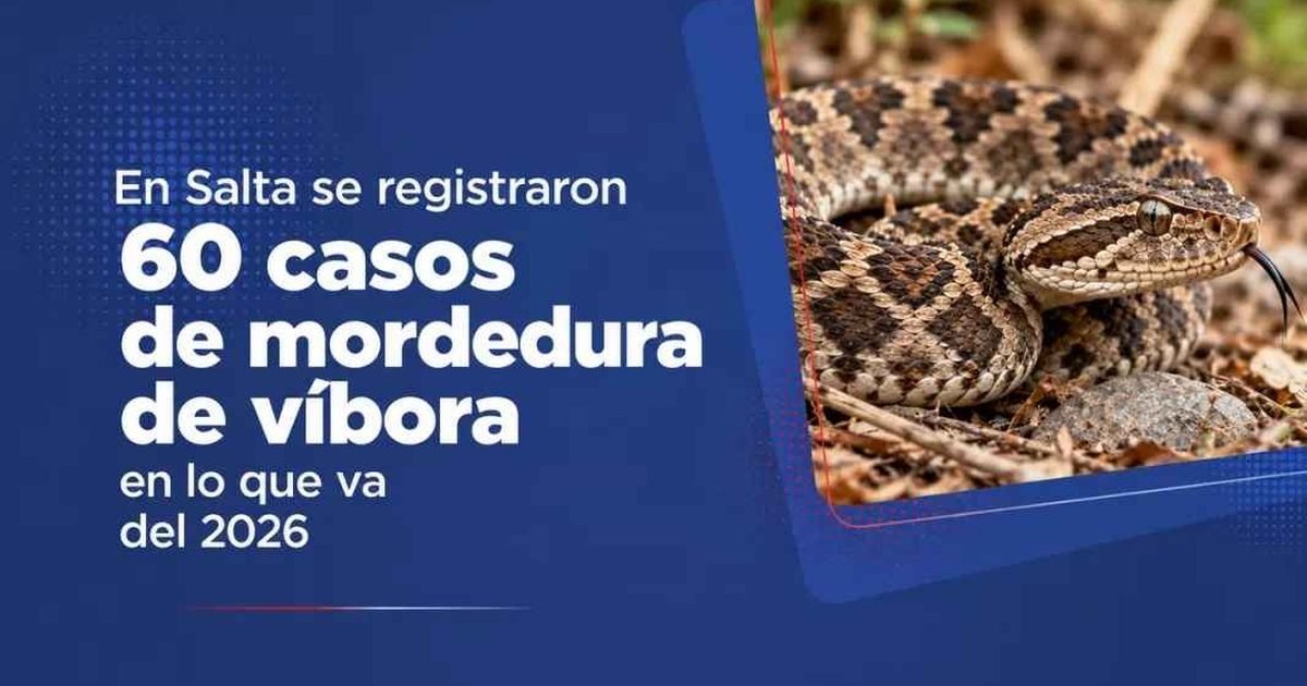 mordedura de víbora