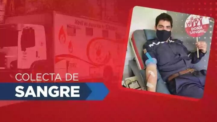 colecta de sangre