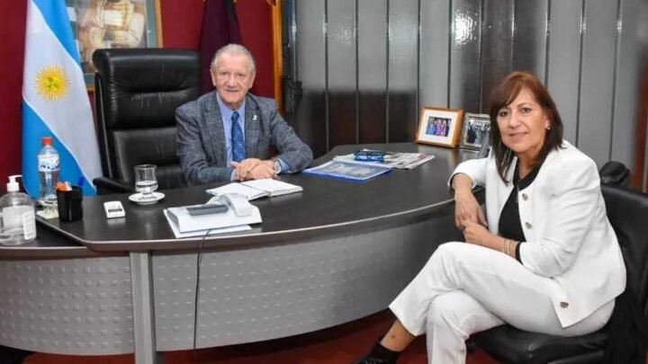 cajas profesionales en Salta