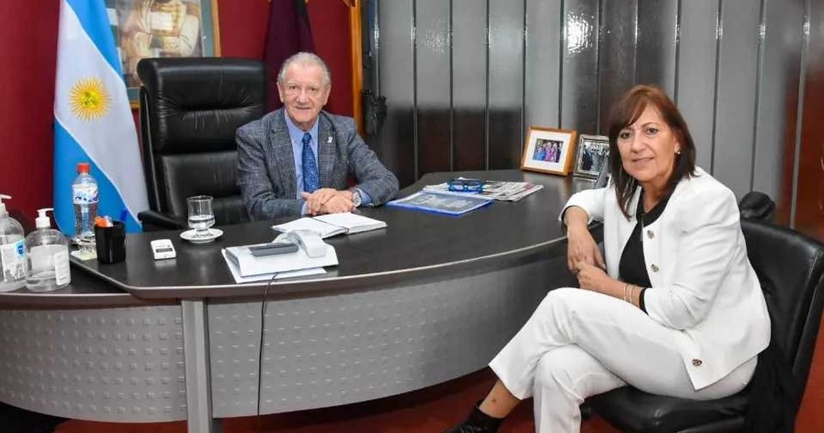 cajas profesionales en Salta