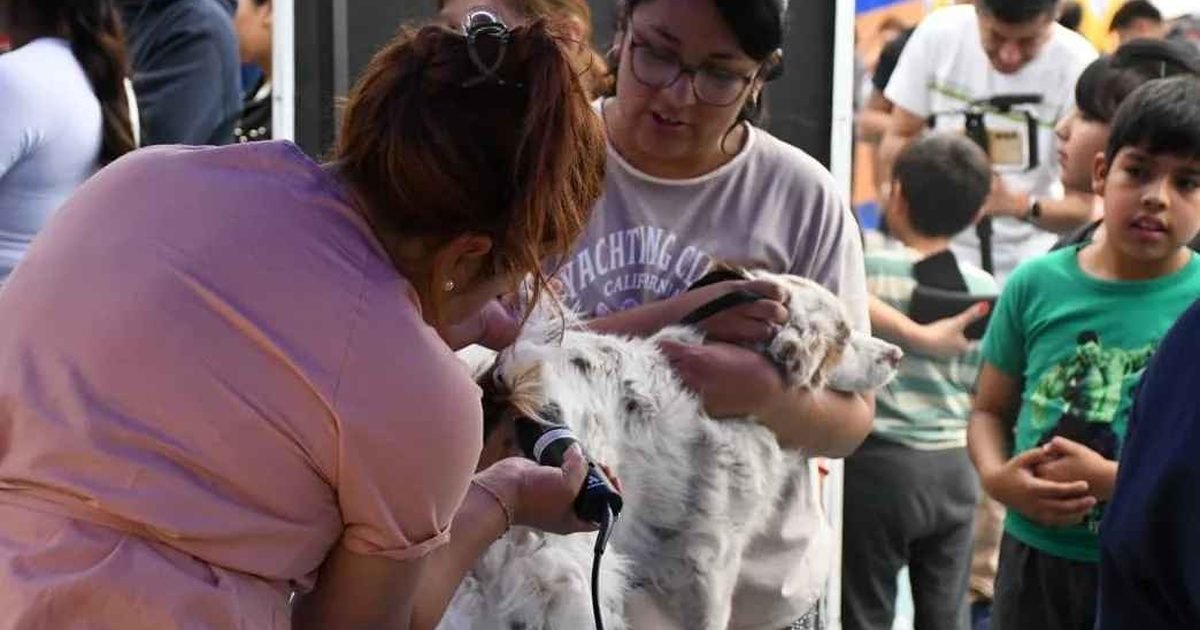 Muni Animal
