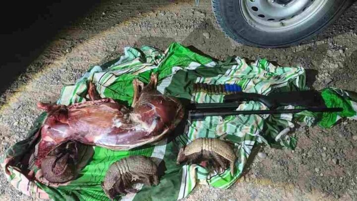 secuestraron armas de fuego