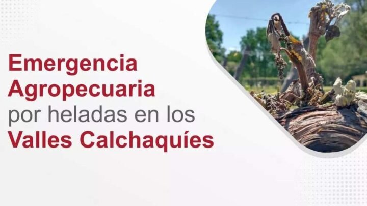 Emergencia Agropecuaria