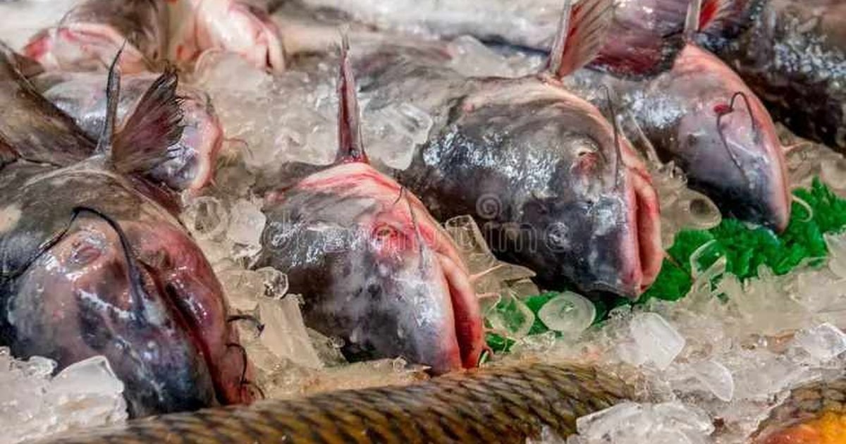 Semana del Pescado