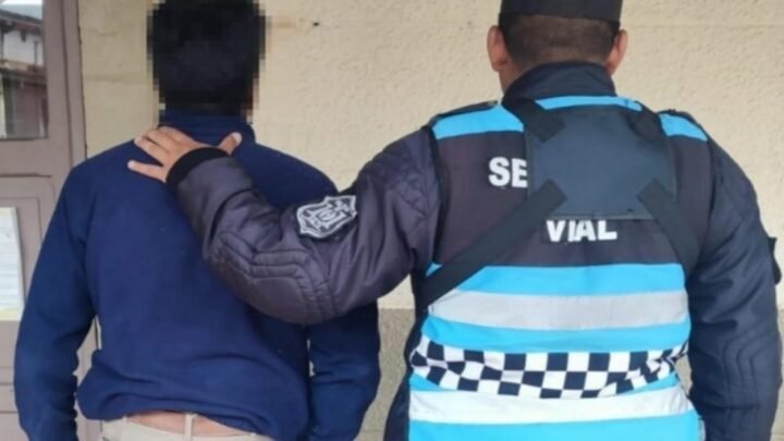 licencia de conducir apócrifa