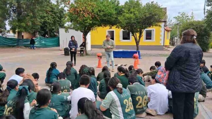 educacion vial