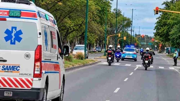 operativo multiorgánico
