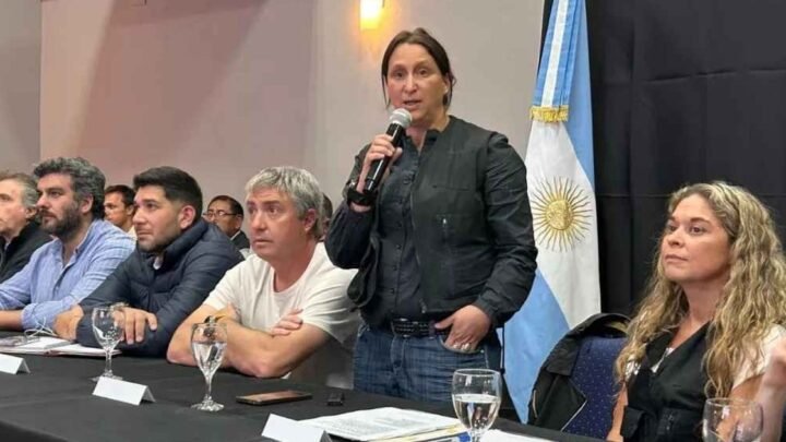 Comité de Emergencia Climática