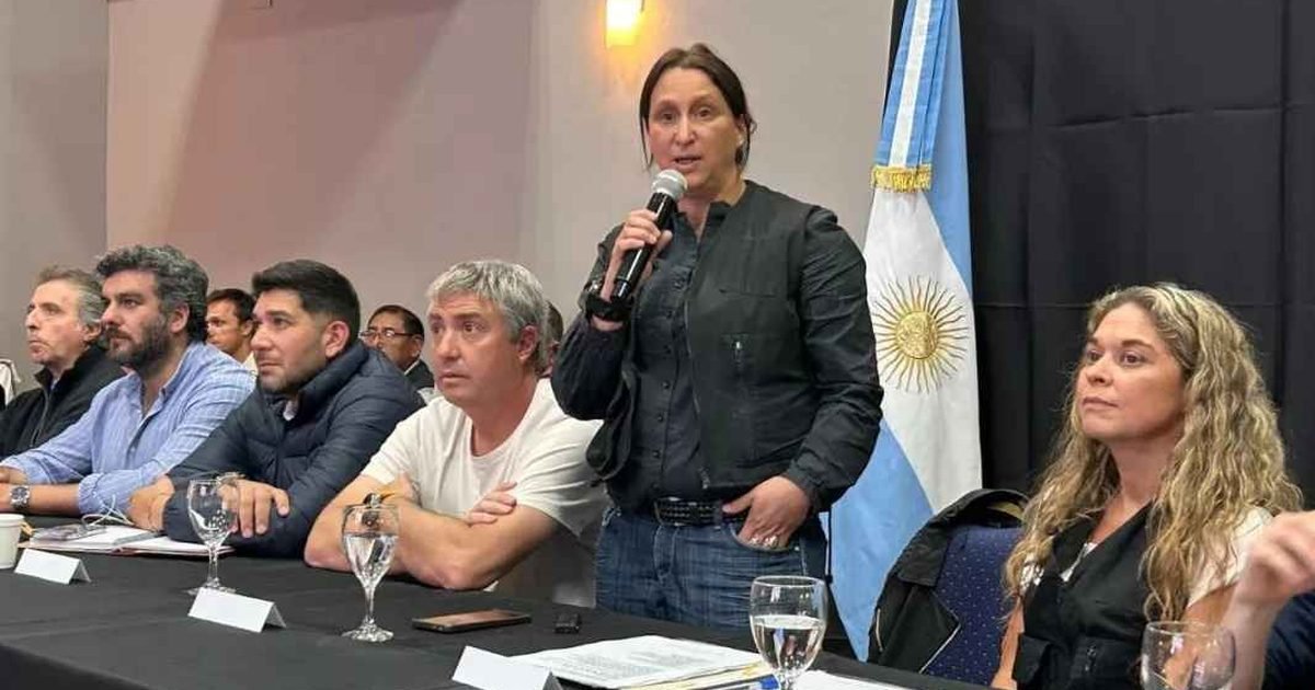 Comité de Emergencia Climática