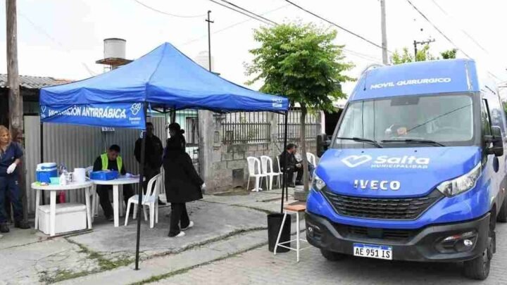 castración animal gratuita