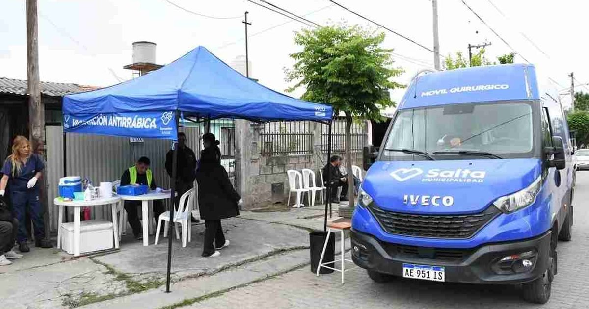 castración animal gratuita