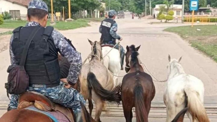 animales sueltos en Salta