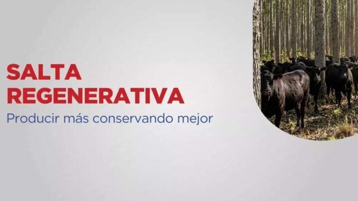 producción regenerativa en Salta